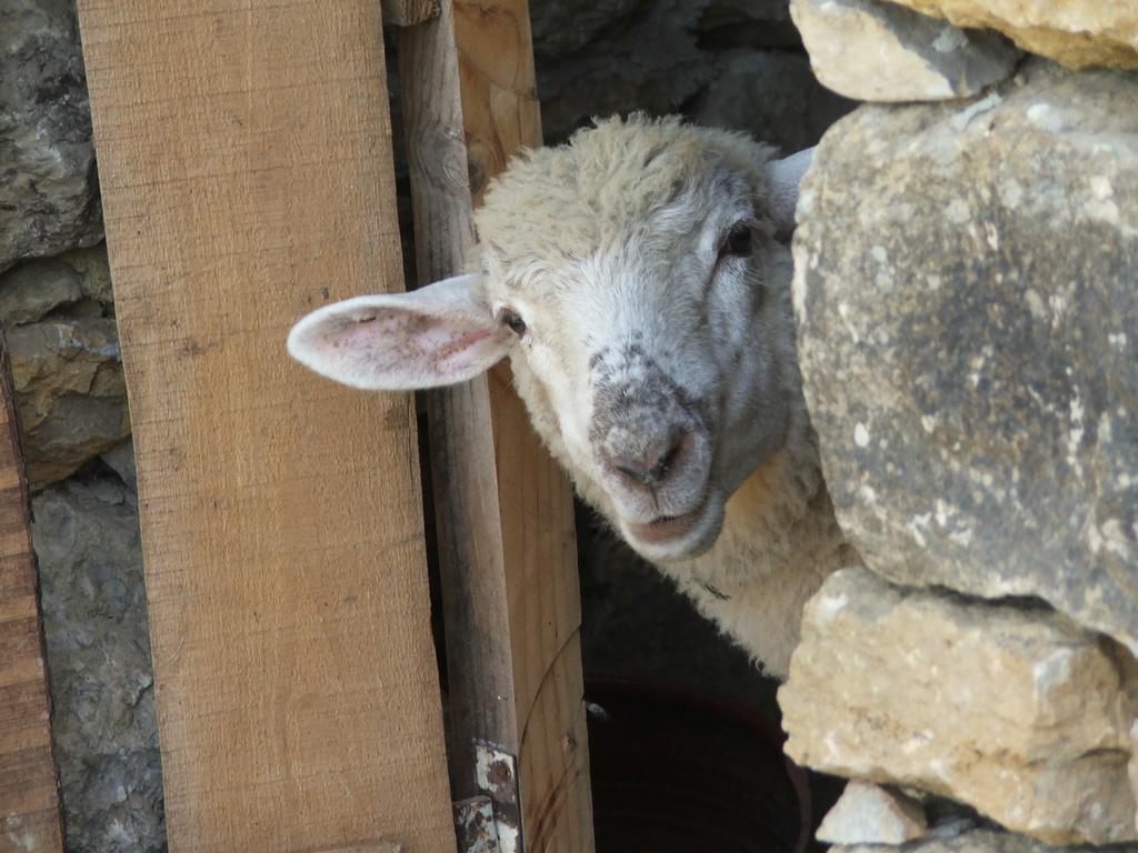 فندق Aldeia Da Mata Pequena مافرا المظهر الخارجي الصورة