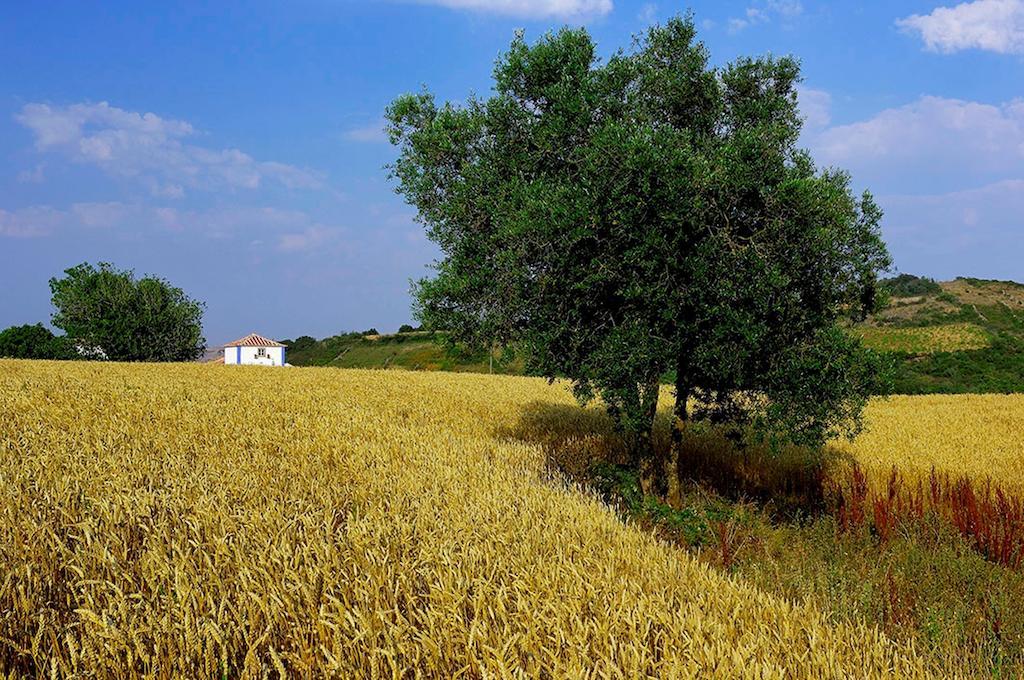 فندق Aldeia Da Mata Pequena مافرا المظهر الخارجي الصورة