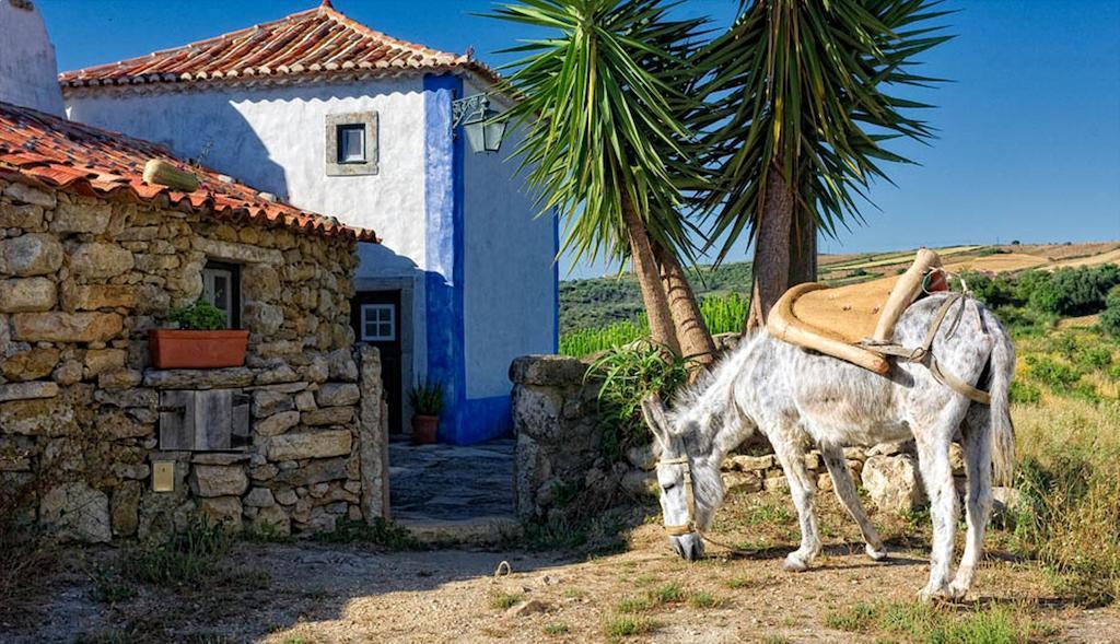 فندق Aldeia Da Mata Pequena مافرا الغرفة الصورة